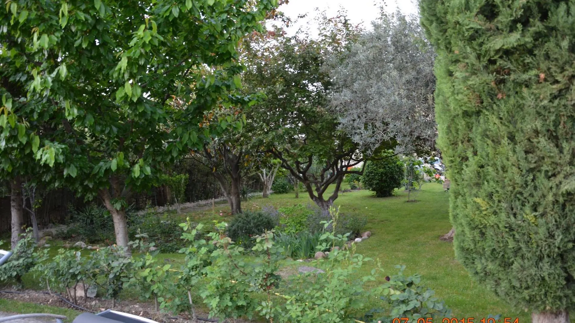 La Bambouseraie Saint-Remy-de-Provence